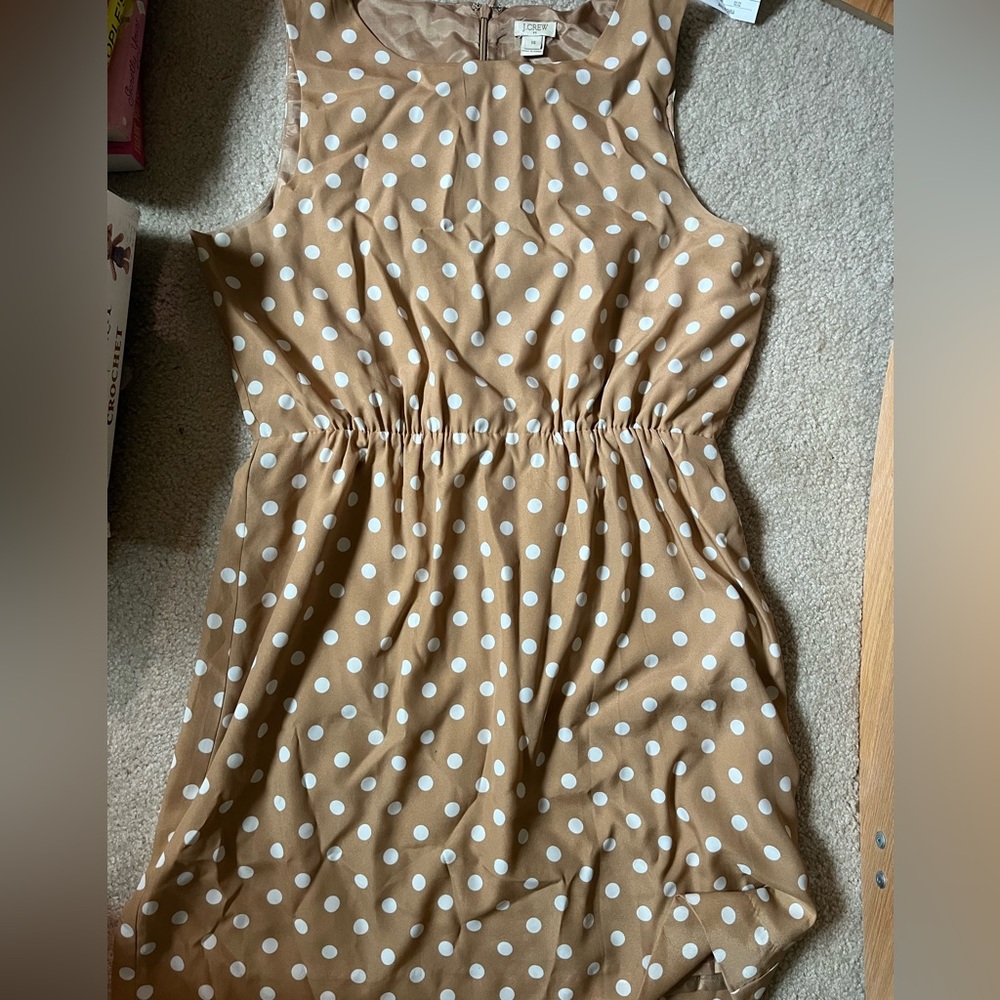 J Crew Polka Dot Dress